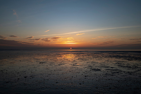 DSC_1200