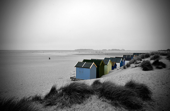 _DSC0780