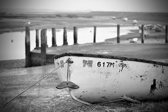 _DSC0578