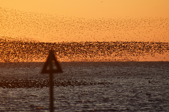 snettisham11