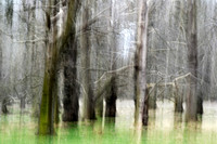 10. uprising - holkham
