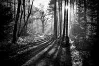 _DSC0221