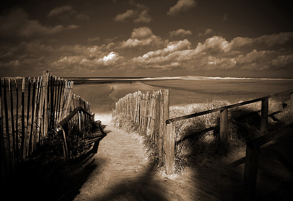 to walk or to rest