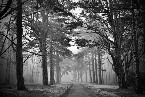 _DSC0095