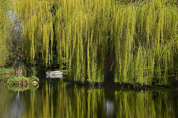 DSC_1748 (2)