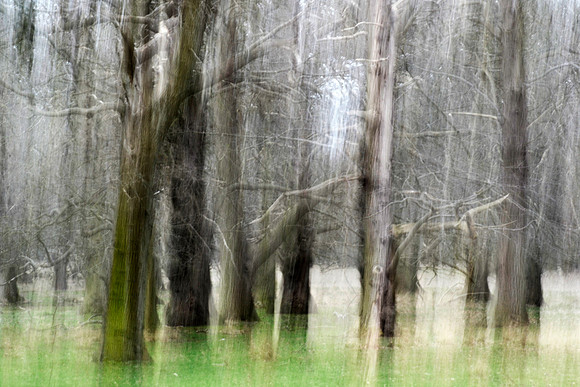 _DSC0357
