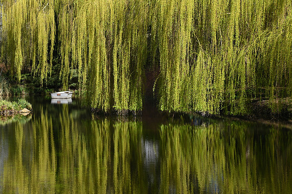 DSC_1750