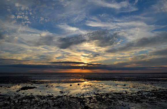 _DSC0505