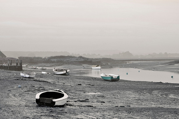 _DSC0559
