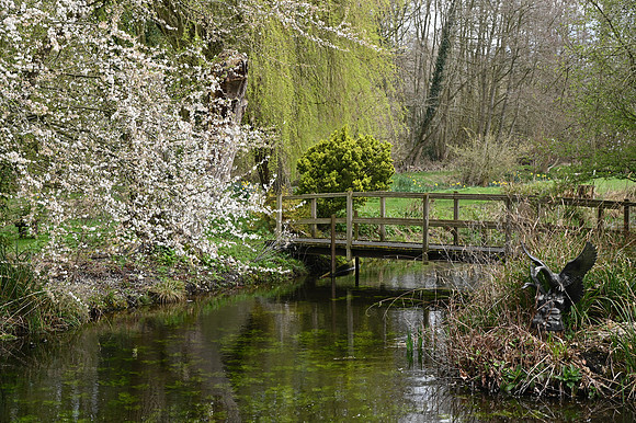 DSC_1731