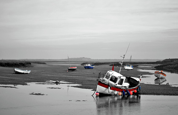 _DSC0543